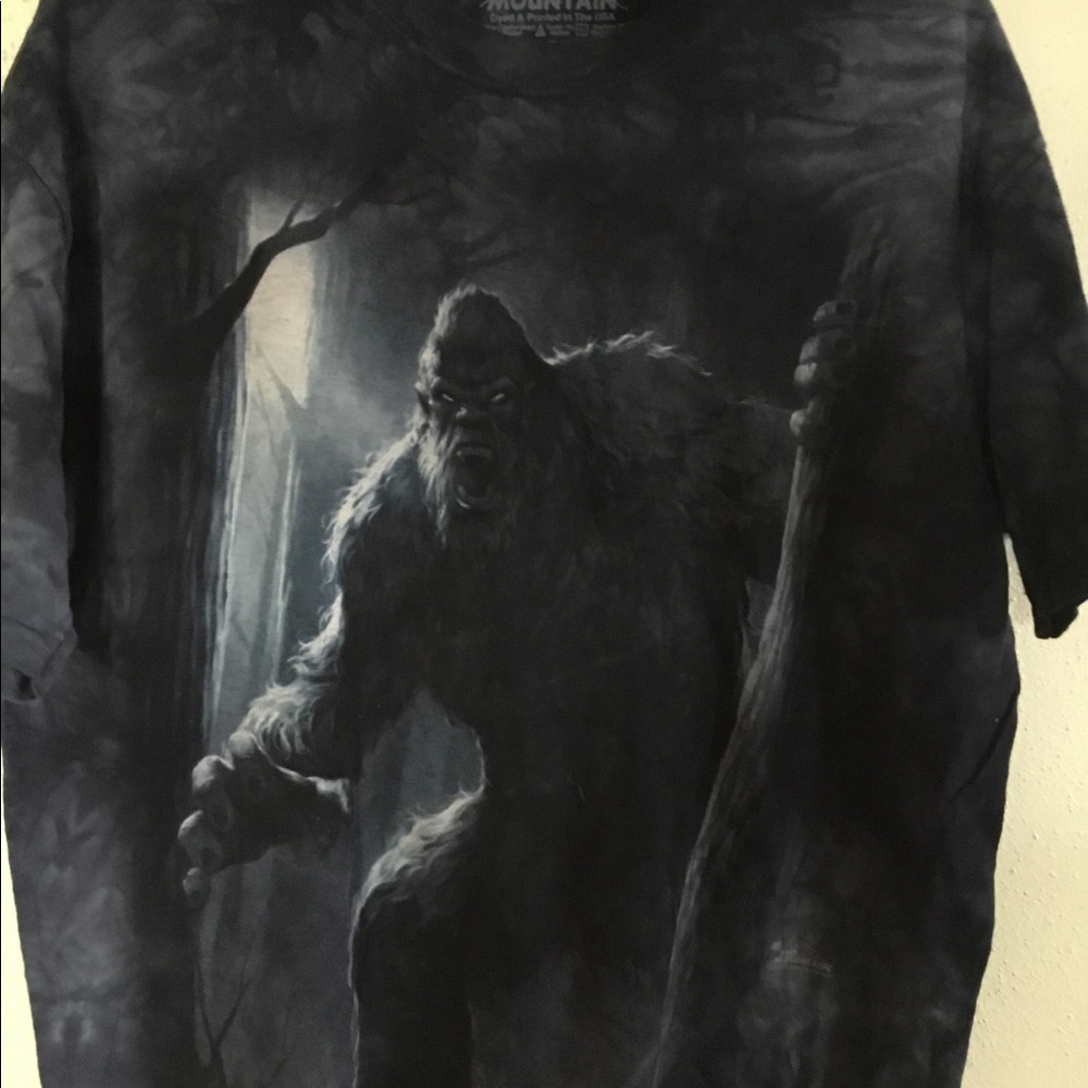 The Mountain (tee shirt)